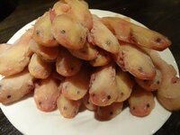 ウーパールーパーの唐揚げ